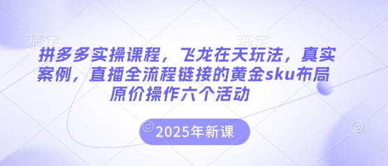 拼多多实操课程，飞龙在天玩法，真实案例，直播全流程链接的黄金sku布局原价操作六个活动-AI网创项目超市