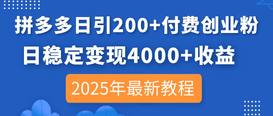 （14217期）拼多多日引200+付费创业粉，日稳定变现4000+收益，2025年最新教程-AI网创项目超市