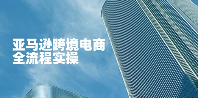 （14252期）亚马逊跨境电商全流程实操，教你从零开始，掌握店铺运营与广告技巧-AI网创项目超市