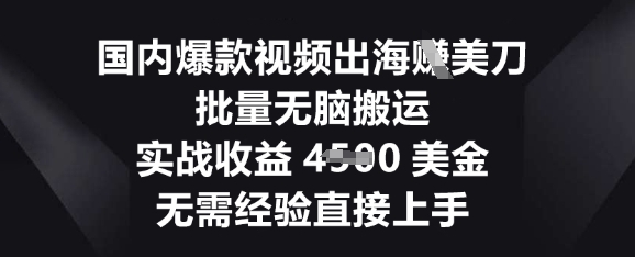 国内爆款视频出海挣美刀,批量无脑搬运,实战收益4.5k,无需经验直接上手-AI网创项目超市