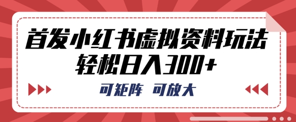首发小红书虚拟资料玩法,可矩阵,可放大,轻松日入3张-AI网创项目超市