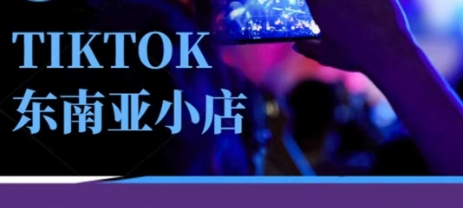 Tiktok东南亚跨境小店运营班，一门专业的TK小店运营培训课-AI网创项目超市