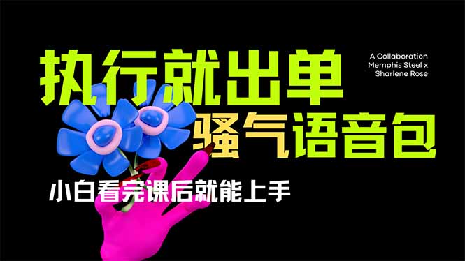 (14170期)爆火全网的开车导航骚气语音包,只要执行就出单,小白看完课程就能实操...-AI网创项目超市