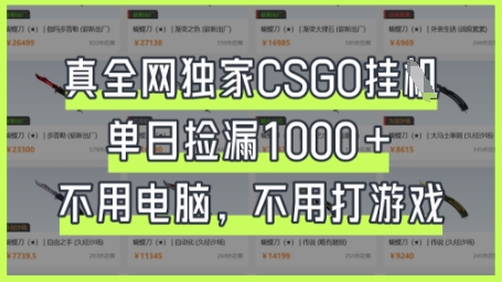 真全网独家CSGO挂G，单日捡漏1k+【揭秘】-AI网创项目超市