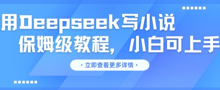 用Deepseek写小说，保姆级教程，小白可实操-AI网创项目超市