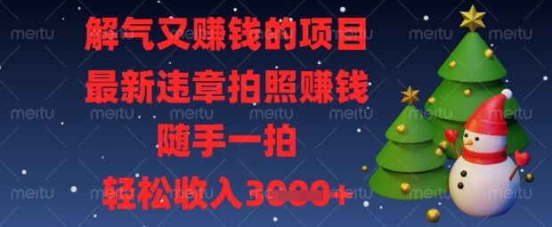 解气又挣钱的项目，最新违章拍照挣钱，随手一拍，轻松收入数张【揭秘】-AI网创项目超市